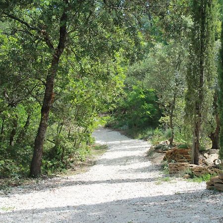 Lou Paradou Lodge Grillon Dış mekan fotoğraf
