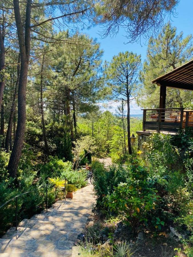 Lou Paradou Lodge Grillon Dış mekan fotoğraf