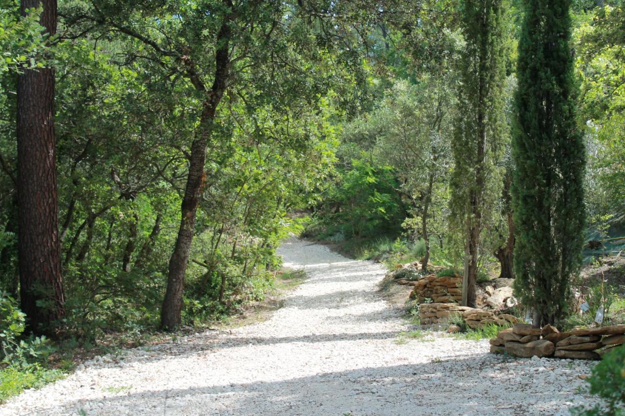 Lou Paradou Lodge Grillon Dış mekan fotoğraf
