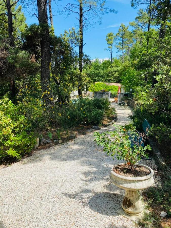 Lou Paradou Lodge Grillon Dış mekan fotoğraf